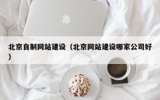 灌云北京自制网站建设（北京网站建设哪家公司好）